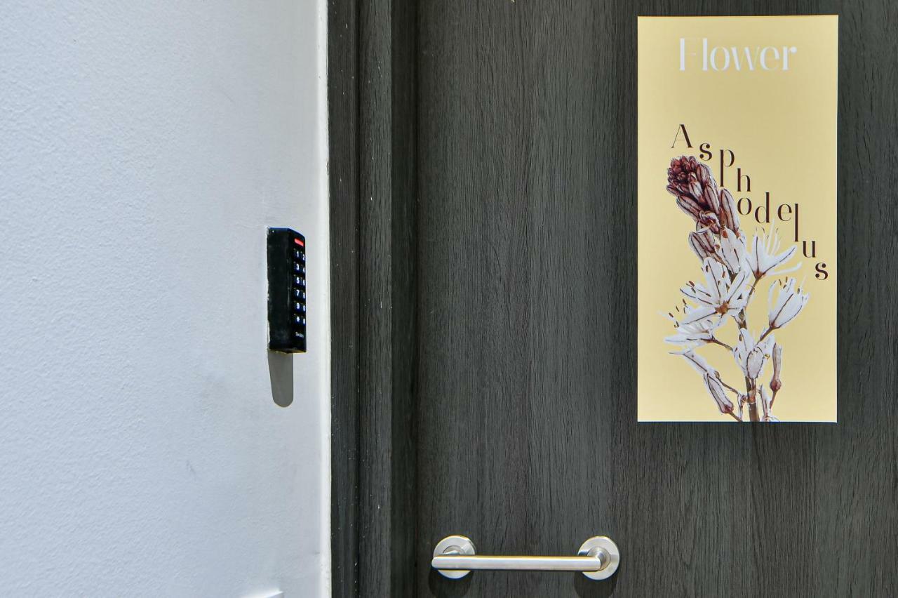 Flowers Of Athens, Boutique Aparthotel With 6-Apartments In Central Athen Exterior foto