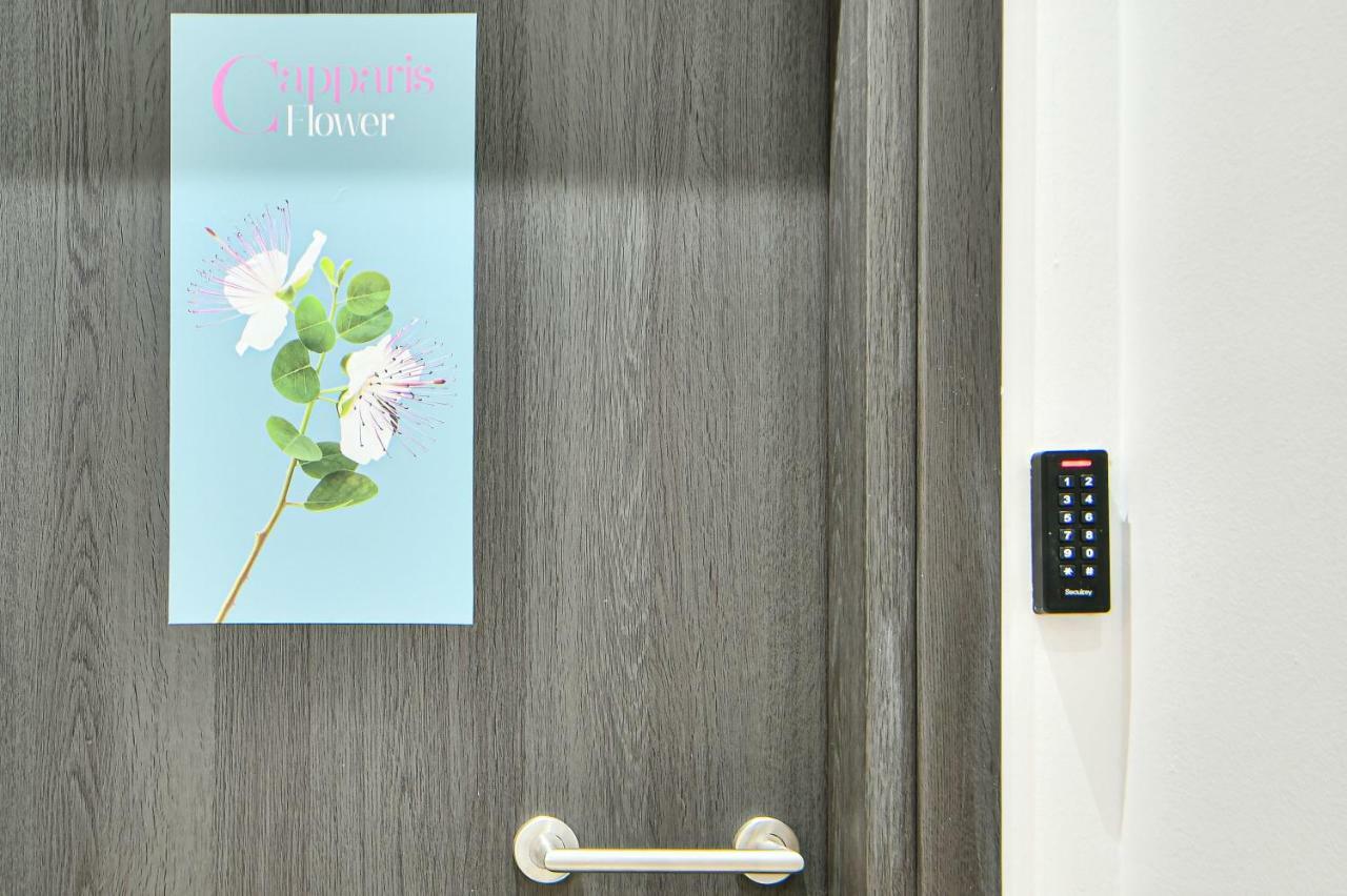 Flowers Of Athens, Boutique Aparthotel With 6-Apartments In Central Athen Exterior foto